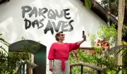 Parque das Aves: diversidade de periquitos encanta visitantes em Foz do Iguaçu