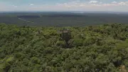 Parque Morro do Diabo guarda maior área de Mata Atlântica do interior paulista