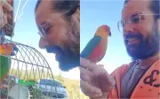 Periquito Nino é encontrado após 8 dias de buscas no Sul de MG