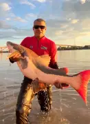 Pescador é arrastado por pirarara de 40 kg no rio Madeira