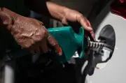 Petrobras recebe pagamento de nova parcela do programa de subvenção do diesel