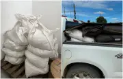 PF apreende 375 kg de cianeto em Boa Vista; carga ia para garimpo ilegal