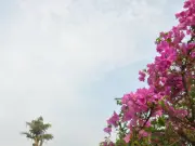 Piauí registra 13,6°C em São Raimundo Nonato e terá dias quentes