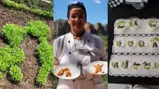 Pinturas rupestres inspiram pratos e encantam turistas no Piauí