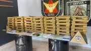 PM apreende 167 barras de maconha escondidas debaixo da pia em Governador Valadares