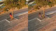PM conduz homem após vídeo de abordagem a mulher em Parnaíba