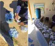 PM encontra 600 pinos de cocaína em tonel enterrado em Natividade