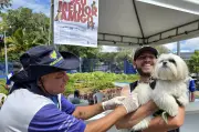 Pré-campanha de vacinação antirrábica para cães e gatos começa em Macaé