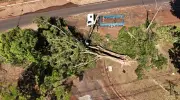 Prefeitura de Ribeirão Preto prevê gasto de R$ 21,1 mi com limpeza pós-temporal