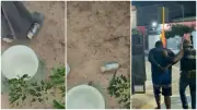 Preso suspeito de planejar ataque com granadas a delegacia no Ceará
