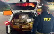 PRF apreende 239 kg de maconha em mudança na BR-381 em Cambuí