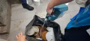 Procon interdita área de produção da Padaria Lamego em Vila Isabel