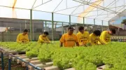 Projeto Curumim transforma educação e futuro de jovens em Jaborandi