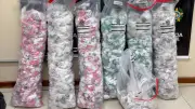 Quase 14 mil pinos de cocaína apreendidos na BR-040; homem preso