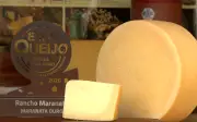 Queijo da Serra da Mantiqueira vence principal prêmio da ExpoQueijo Brasil