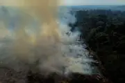 Queimadas na Amazônia elevam em 23% internações respiratórias