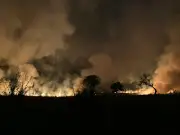 Queimadas no Vale do Paraíba caem 23,85% em 2025, mas Bragança Paulista bate recorde