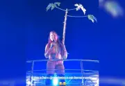 Raquel Tombesi dança com pé de mamão no Miracaxi e descobre tradição