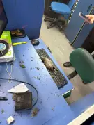 Rato cai do teto durante atendimento em posto do Detran-RJ