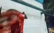 Rato flagrado em cima de carne no mercado municipal de Itabaiana