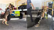 Receita Federal apreende quase 70 kg de skunk no Aeroporto de Fortaleza