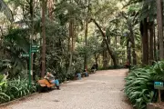 Restaurante no Parque Trianon divide opiniões e exige corte de 4 árvores em SP