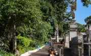 Ribeirão Preto regulamenta enterro de pets em cemitérios públicos