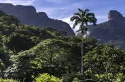 Rio e Niterói: 'Um Dia no Parque' gratuito neste fim de semana