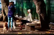 Rio registra -11,5°C, menor temperatura do país, com fenômeno Frozen