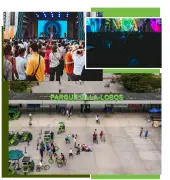 Ruído em evento no Parque Villa-Lobos ultrapassa limite legal, aponta laudo
