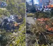 Árvore cai e atinge motociclista em avenida de Teresópolis
