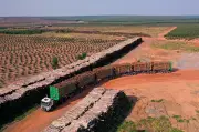 Senatran autoriza 41 hexatrens de 250 toneladas em rodovias do MS