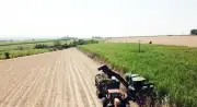 Simespi teme impacto de tarifa dos EUA em Piracicaba