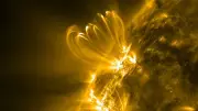 Sol ejetou 10 quatrilhões de cometas; podem estar retornando