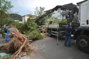 SP: Defesa Civil alerta para instabilidade com ventos e chuvas após mortes