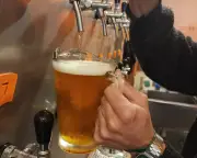 SP lança Rotas da Cerveja com 107 cervejarias em 55 cidades