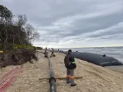 SP usa geotubos para conter erosão que pode dividir Ilha do Cardoso