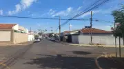 STF mantém decisão que obriga municípios a acolher animais abandonados