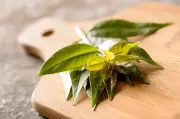 Suco verde de ora-pro-nóbis: receita do médico Alberto Gonzalez