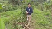 Super El Niño avança e preocupa produtores rurais e Defesa Civil no Brasil