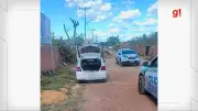 Suspeito de roubar carro é preso após ser atacado por abelhas em Teresina
