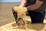 Tarifa dos EUA atinge 36,5% das exportações do agro brasileiro, diz CNA