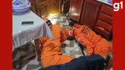 Teiú gigante resgatado embaixo de armário de cozinha em MT
