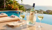 Temperatura ideal para servir vinho: guia completo