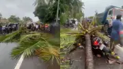 Temporal na Índia: coqueiro cai sobre moto e mata filho de ex-vice-prefeito
