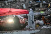 Terremotos na Venezuela podem gerar surtos de dengue e outras doenças