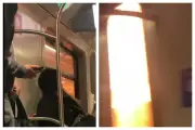 Trem da Trivia Trens pega fogo e passageiros andam nos trilhos em SP