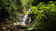 Trilhas no Destino Iguaçu: natureza, cultura e aventura em Foz