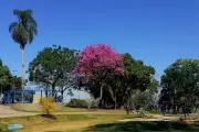 Umidade do ar atinge 24% no Vale do Paraíba e acende alerta de saúde