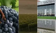 Uvva lança vinhos de montanha na Chapada Diamantina, Bahia